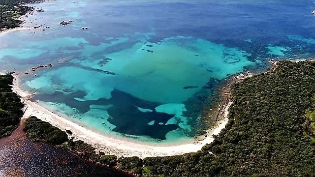 Avec Piscine Vakantiehuis Pianottoli-Caldarello (Corsica)