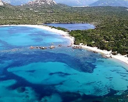Avec Piscine