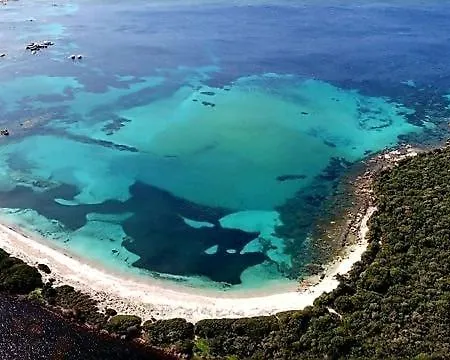 Avec Piscine Semesterbostad Pianottoli-Caldarello (Corsica)